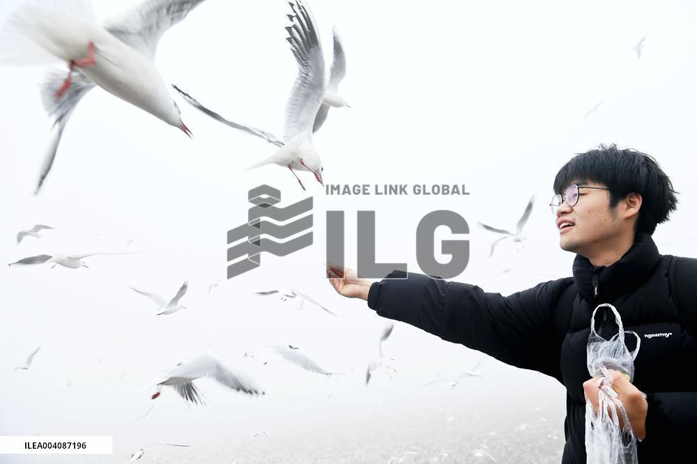 Heavy Fog Hit Qingdao