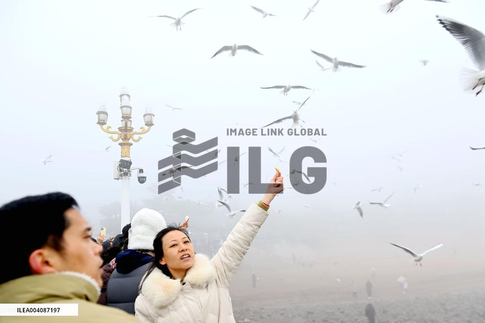 Heavy Fog Hit Qingdao