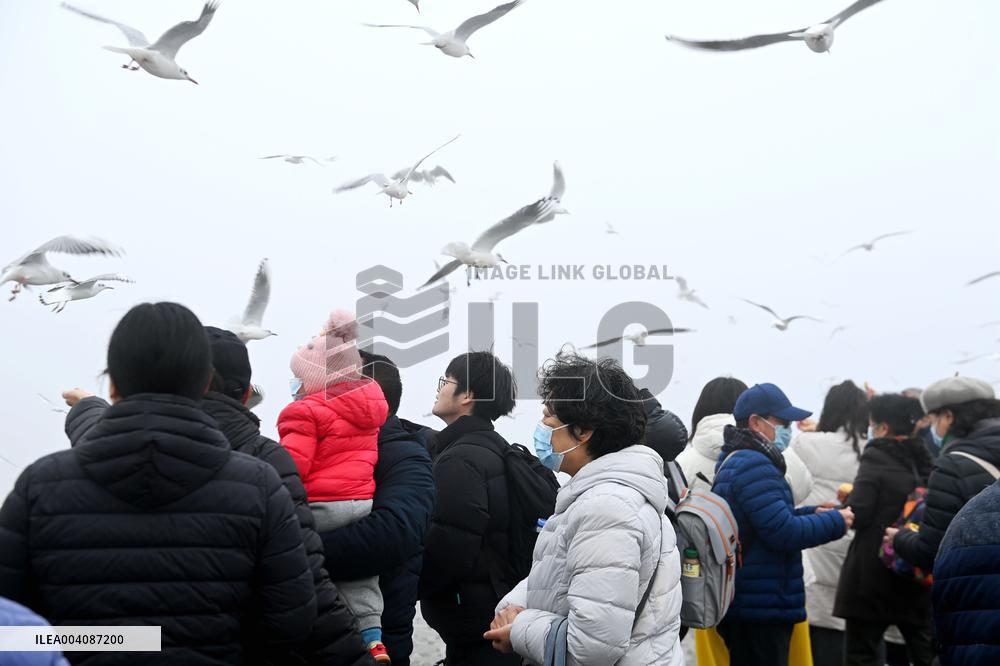 Heavy Fog Hit Qingdao