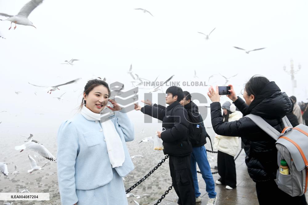 Heavy Fog Hit Qingdao