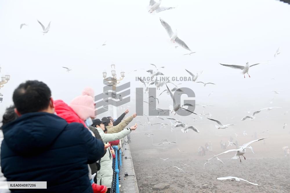 Heavy Fog Hit Qingdao