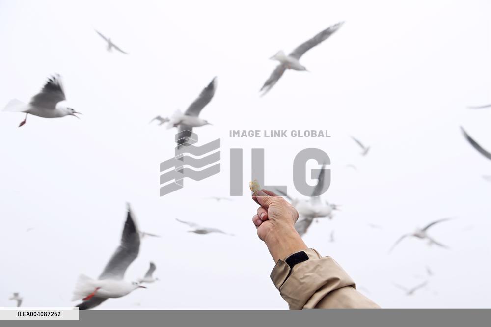 Heavy Fog Hit Qingdao