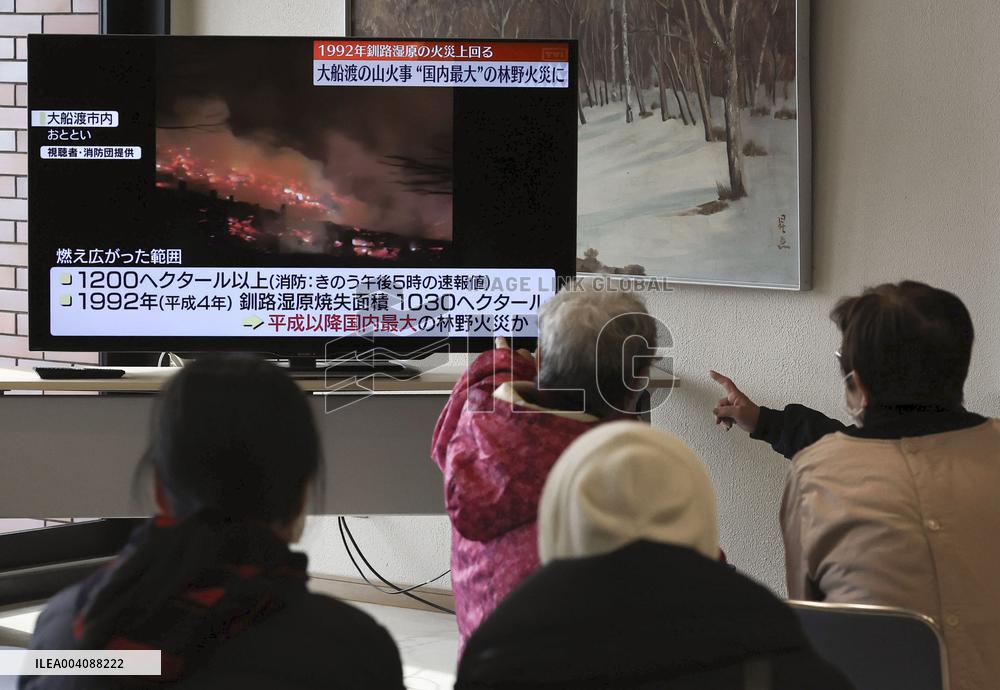 Forest fire in northeastern Japan
