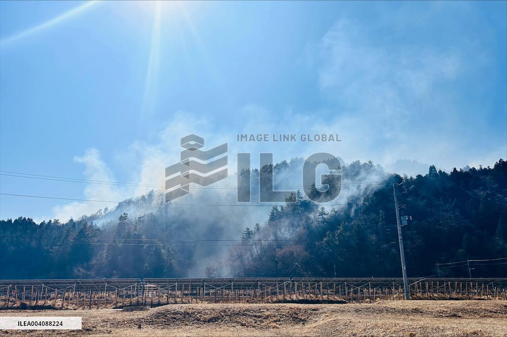 Forest fire in Japan