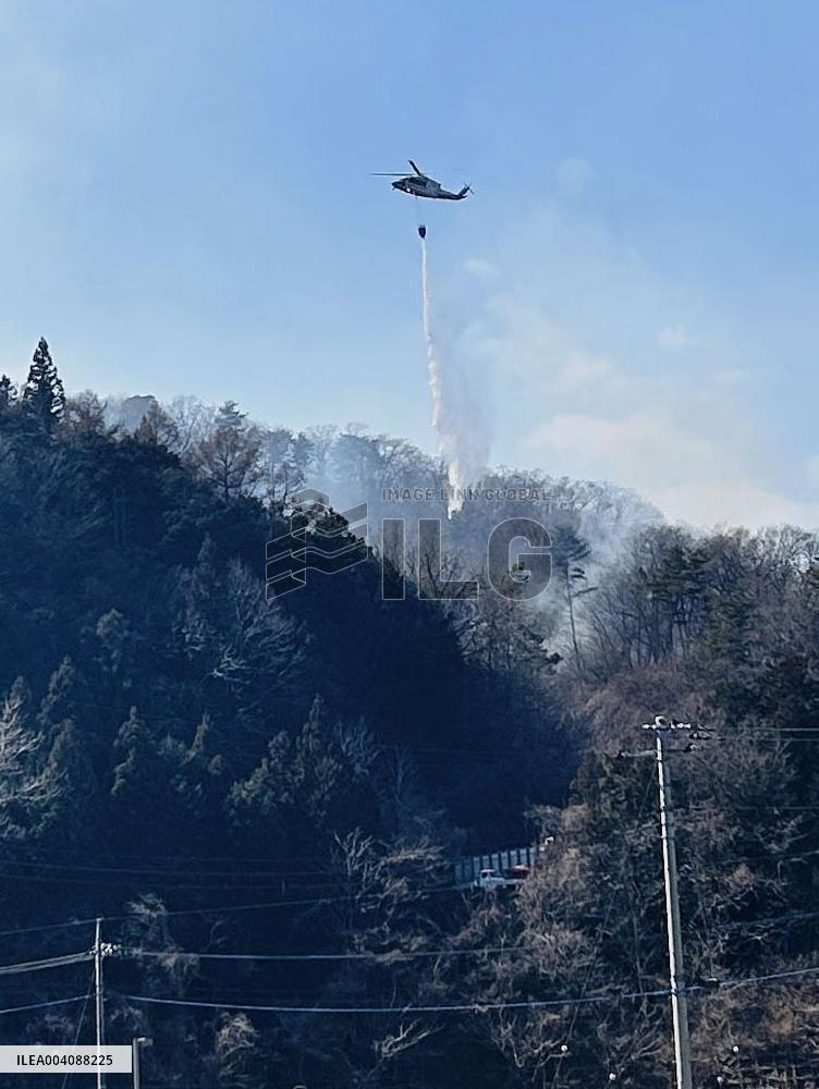 Forest fire in Japan
