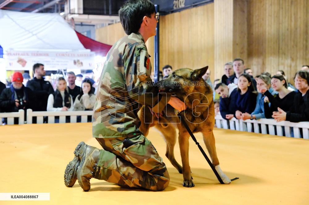 Agricultural Fair - Paris