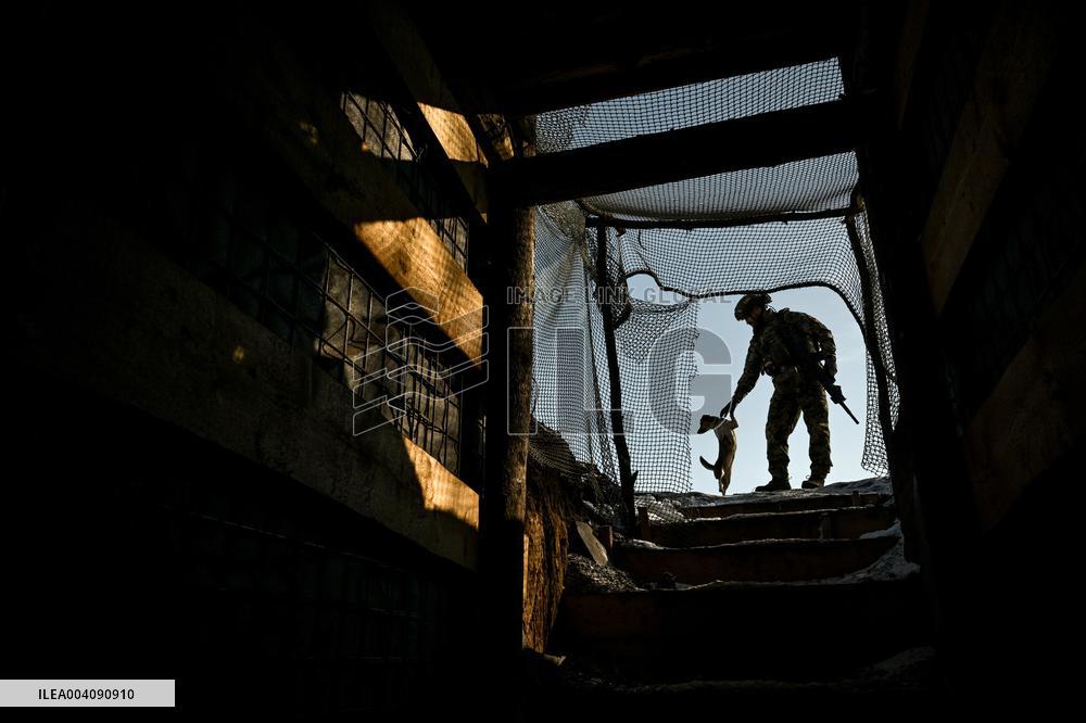 Work of 44th Brigades artillery unit in Zaporizhzhia sector