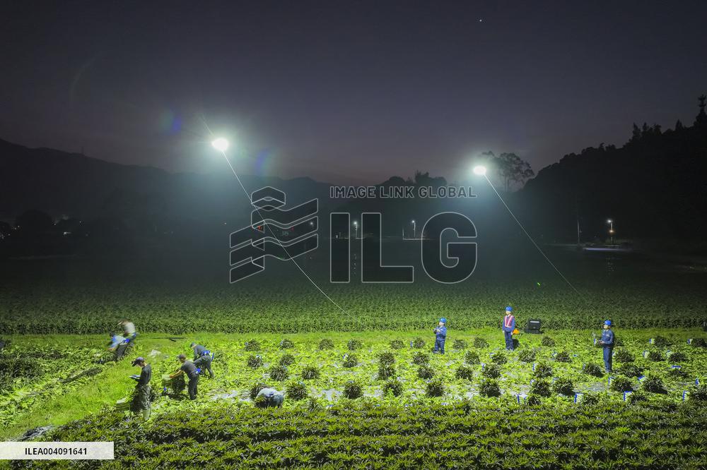 Agricultural Drone in Fuzhou
