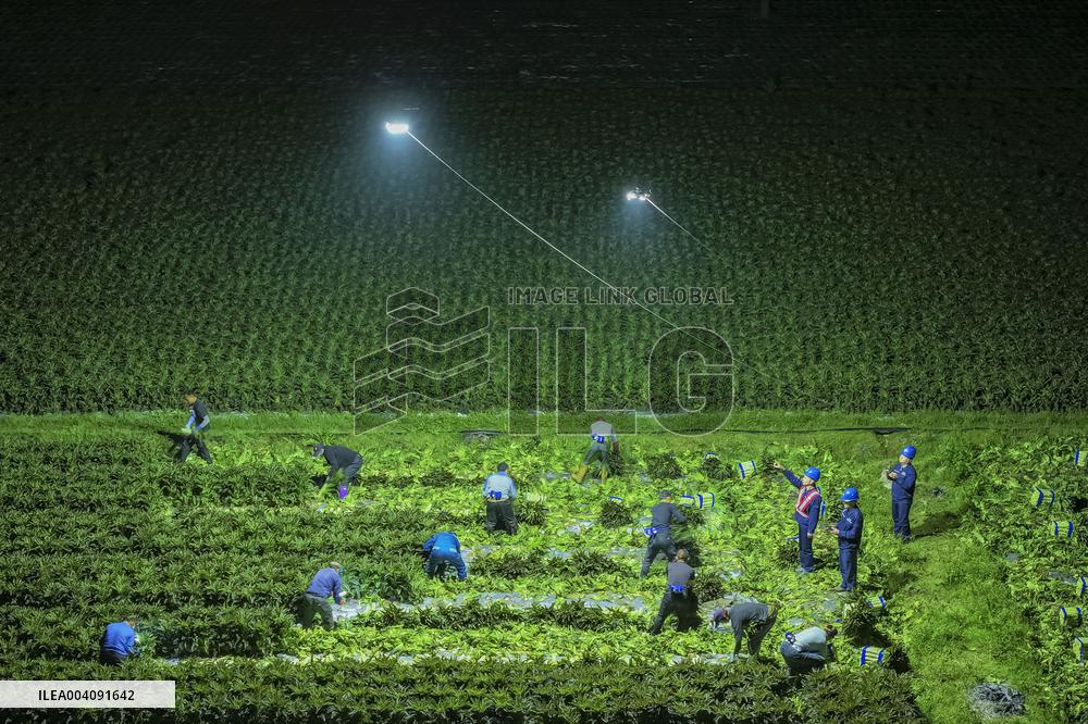 Agricultural Drone in Fuzhou