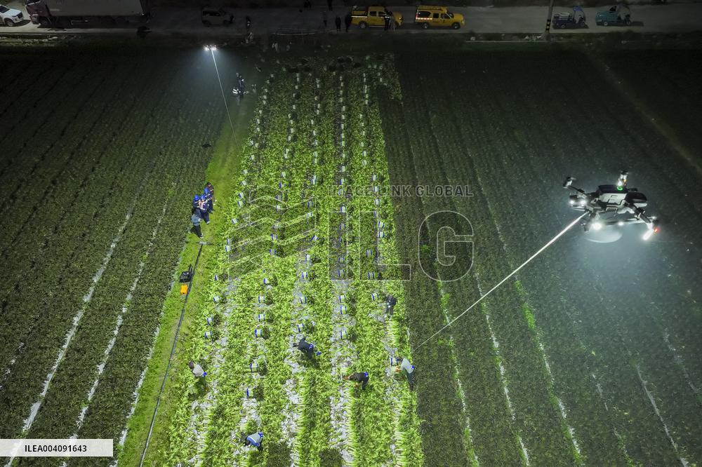 Agricultural Drone in Fuzhou