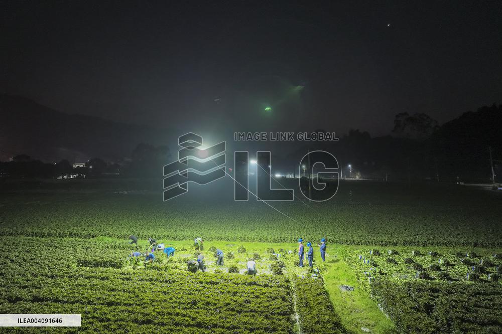 Agricultural Drone in Fuzhou