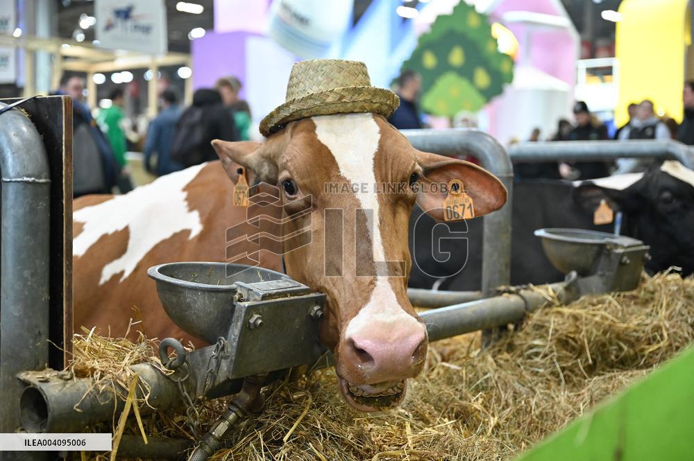Illustrations at the 2025 Paris International Agricultural Show