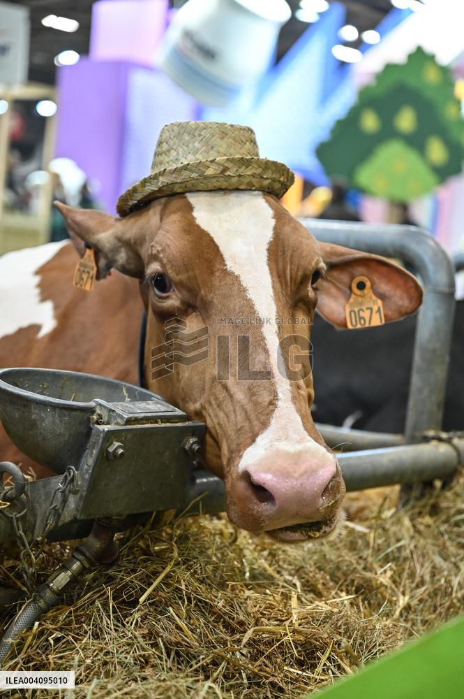 Illustrations at the 2025 Paris International Agricultural Show