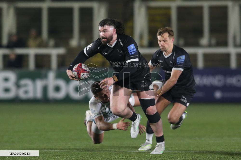 Newcastle Falcons v Gloucester Rugby - Premiership Rugby Cup