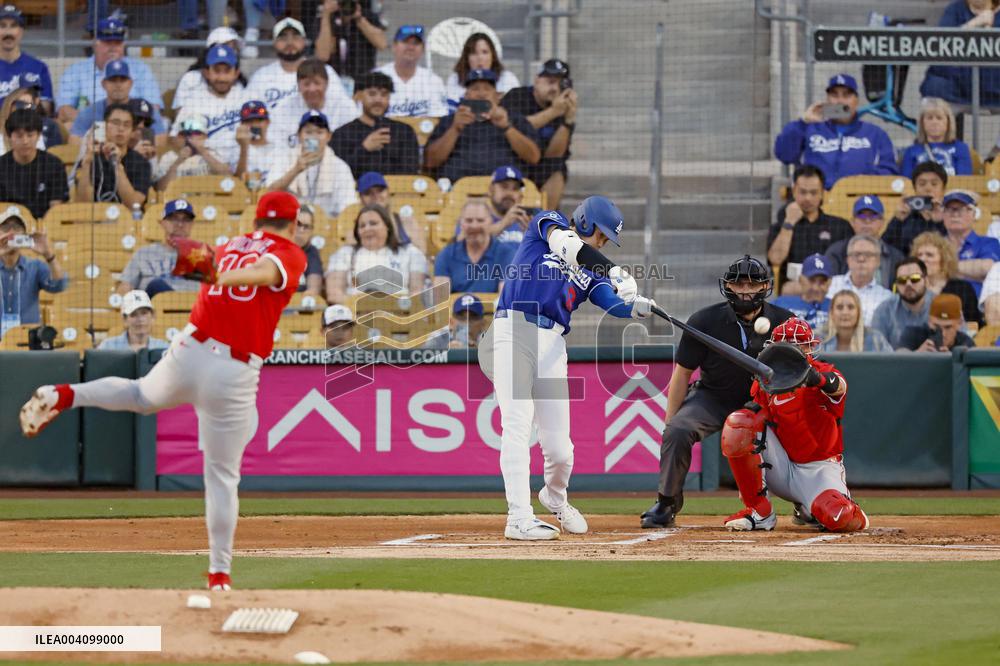 Baseball: MLB spring training