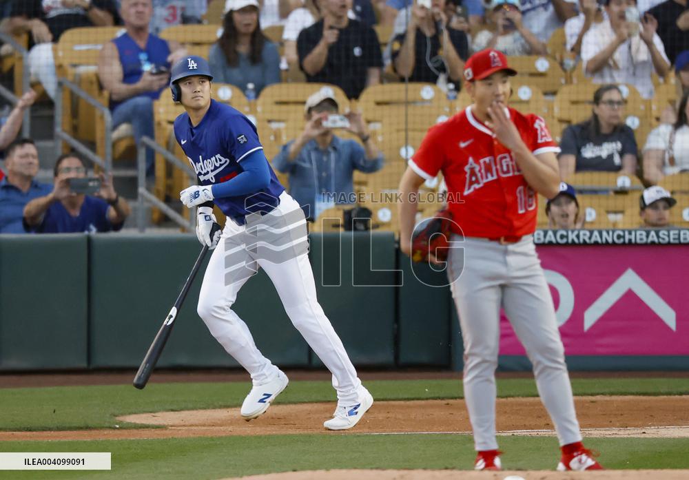 Baseball: MLB spring training