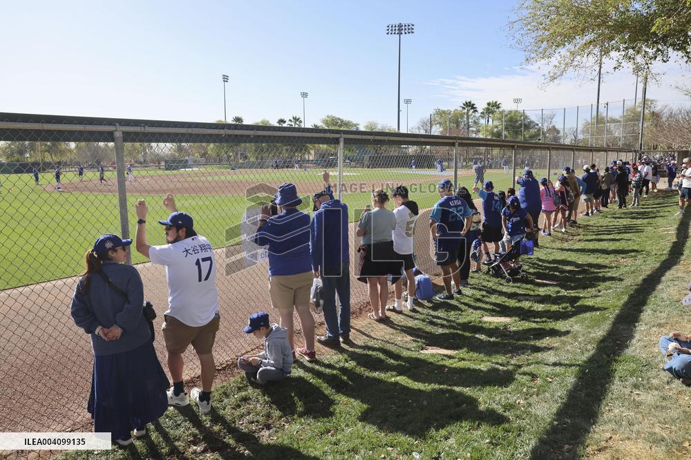 Baseball: MLB spring training