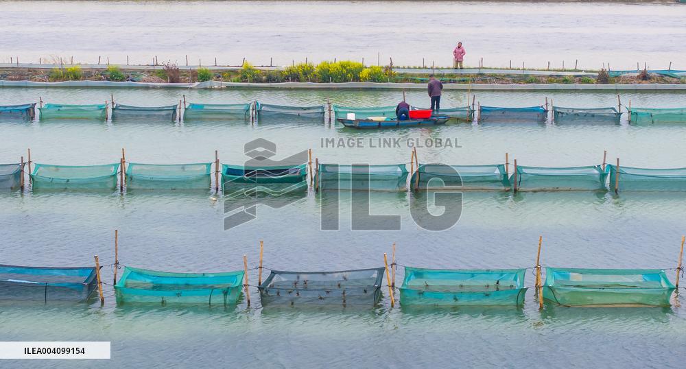 An Ecological Breeding Base in Suqian