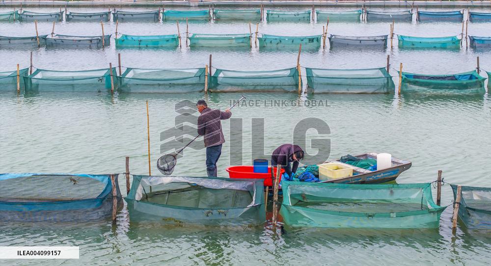 An Ecological Breeding Base in Suqian