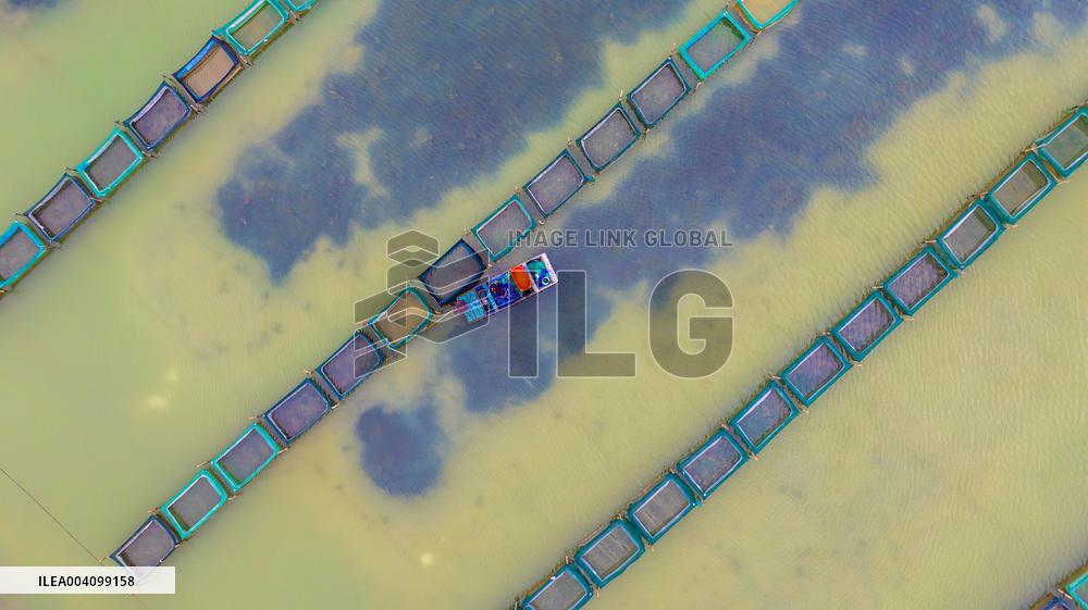 An Ecological Breeding Base in Suqian