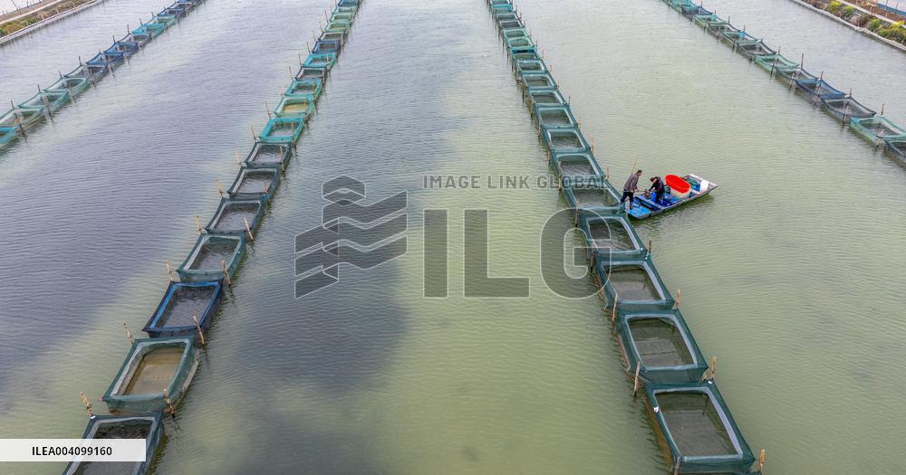 An Ecological Breeding Base in Suqian
