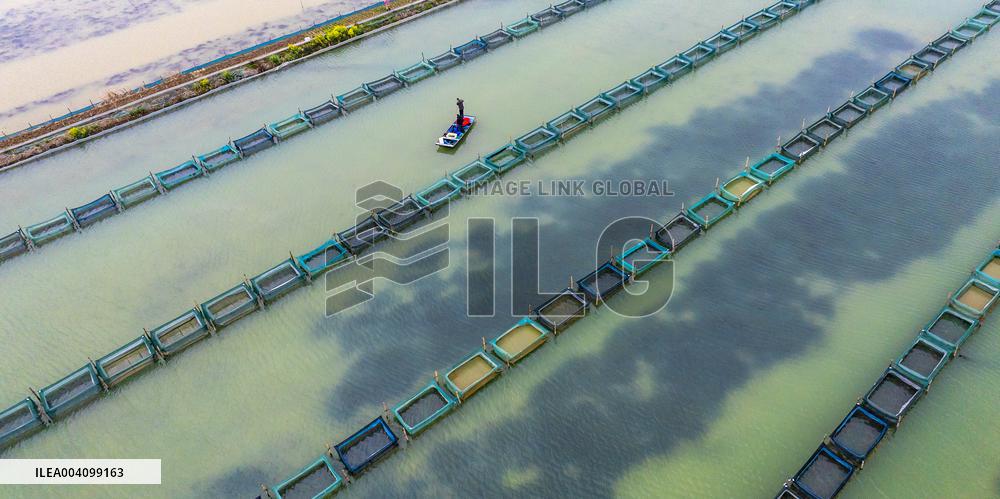 An Ecological Breeding Base in Suqian