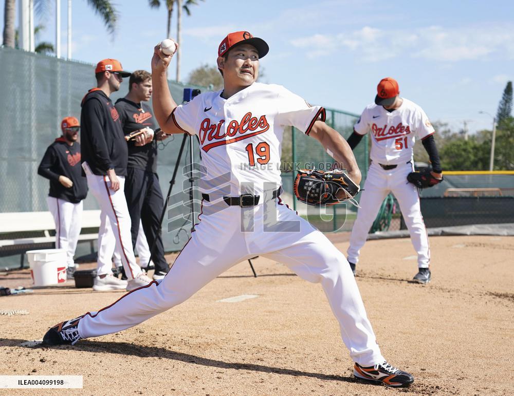 Baseball: MLB spring training