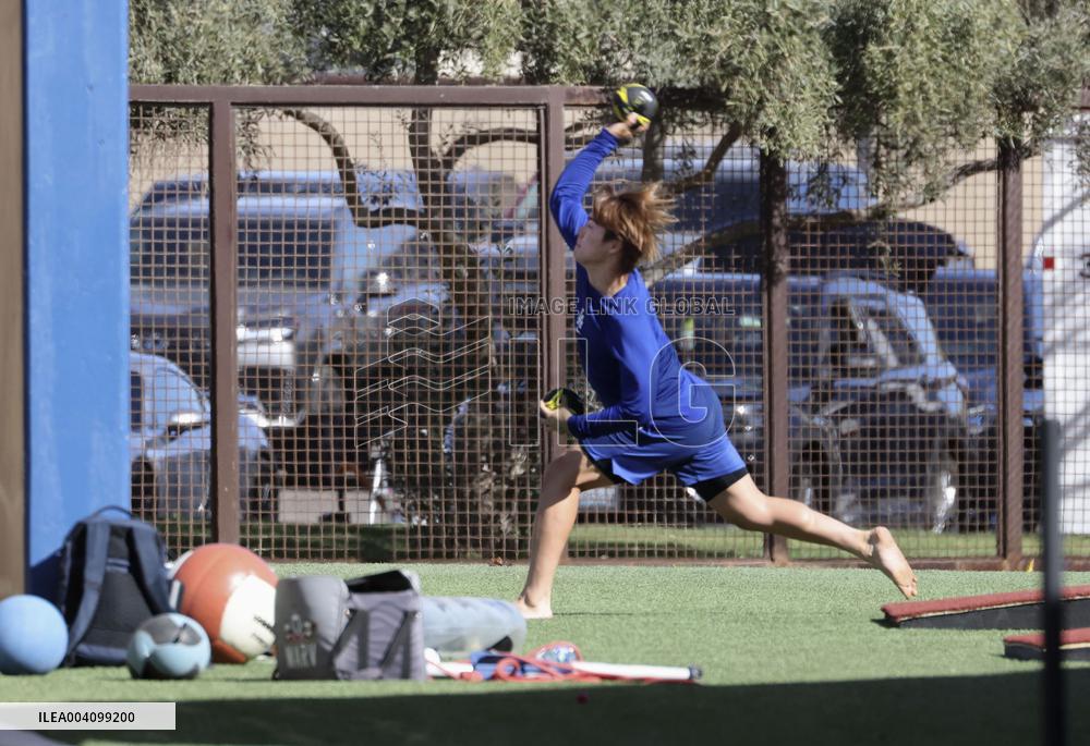 Baseball: MLB spring training