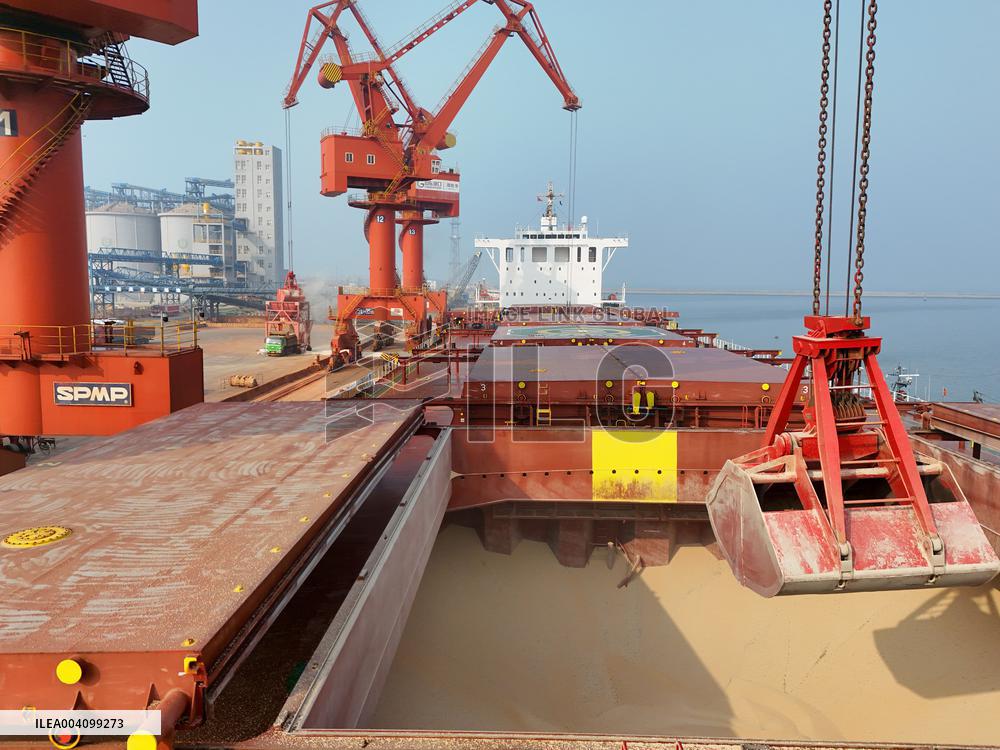 China Agricultural Product Import