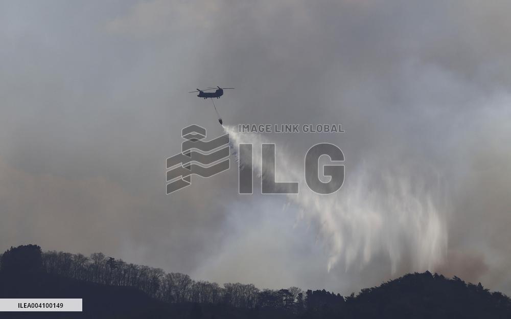 Forest fire in northeastern Japan