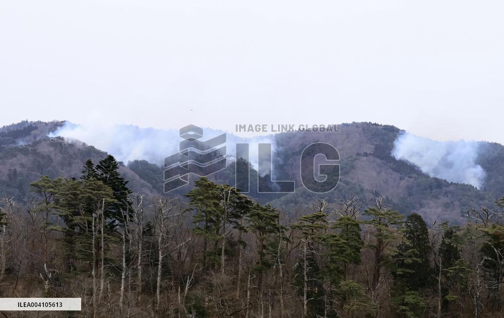 Forest fire in northeastern Japan