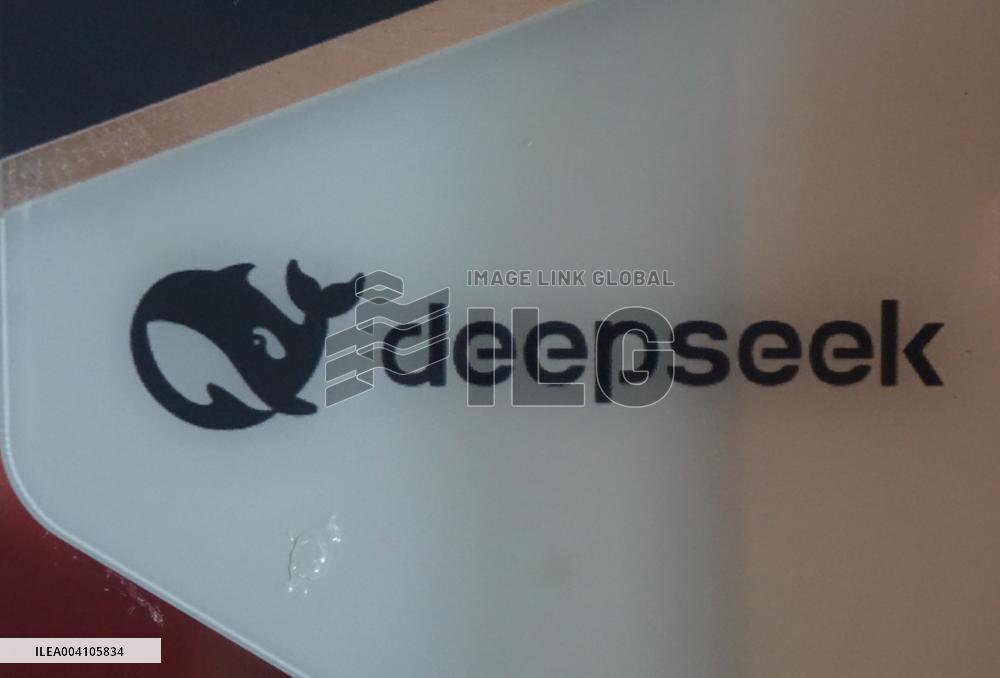 DeepSeek AI Model Cost Margin