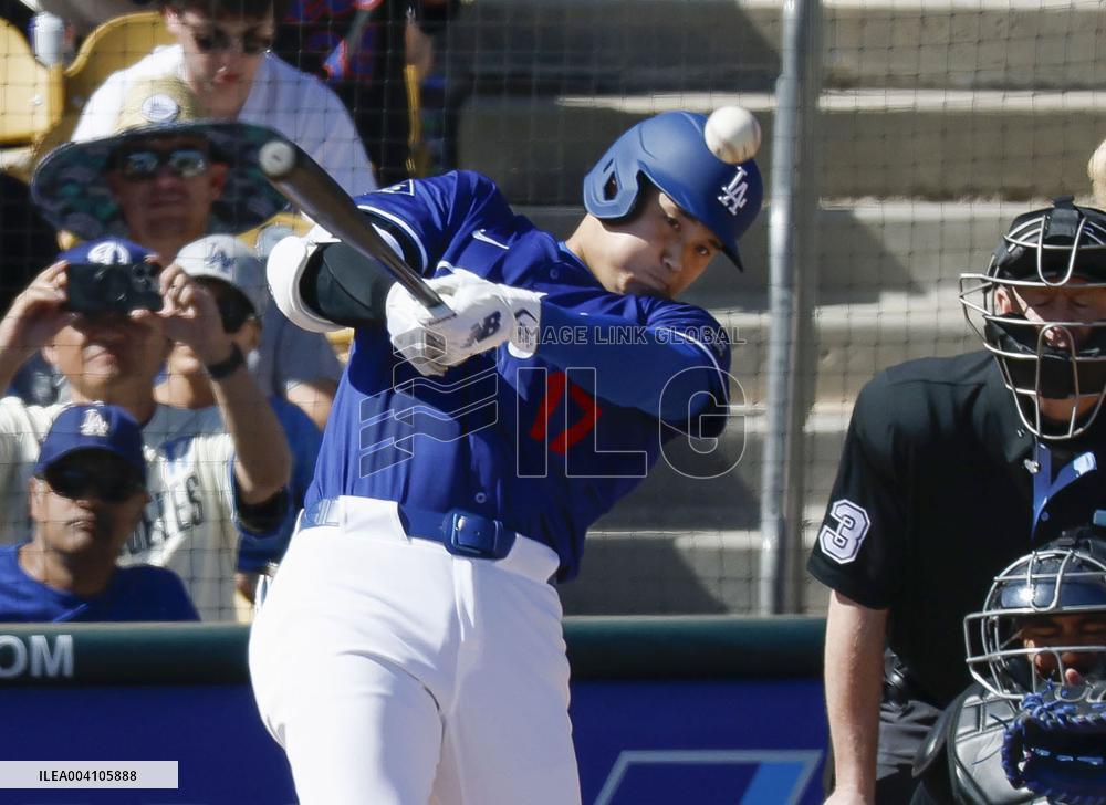 Baseball: MLB spring training