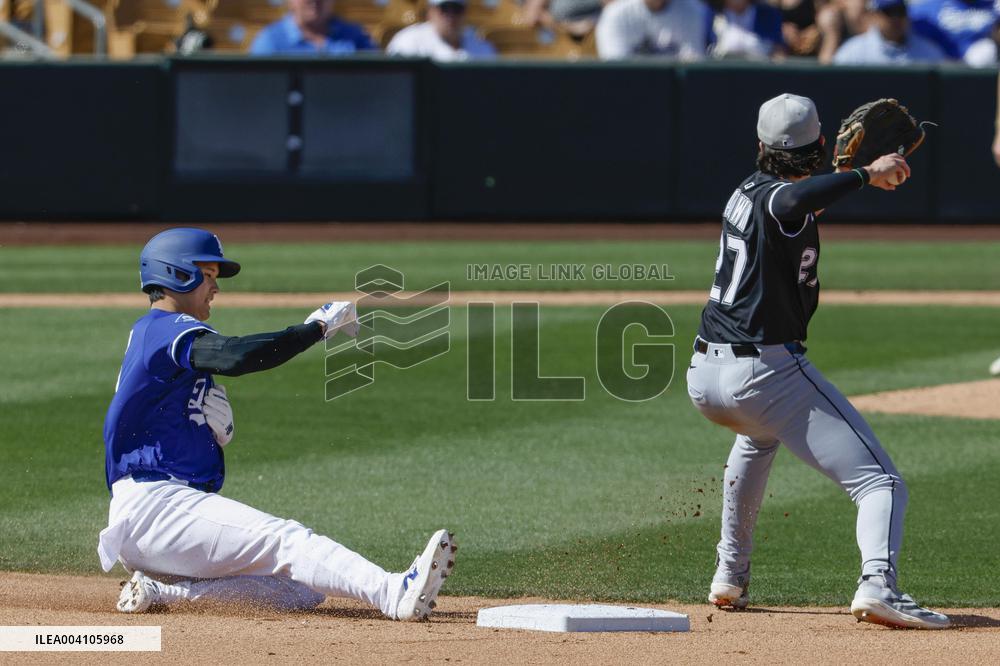 Baseball: MLB spring training