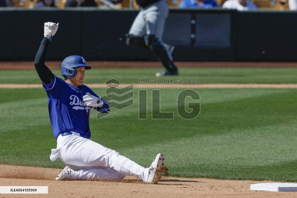 Baseball: MLB spring training