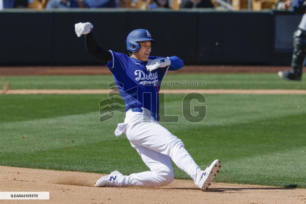 Baseball: MLB spring training