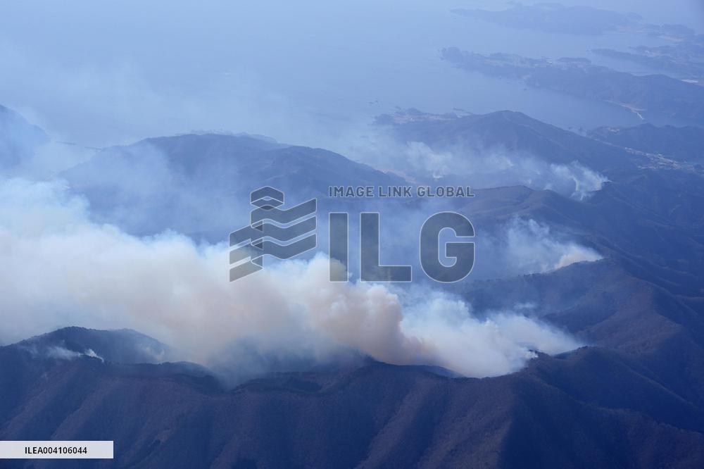 Forest fire in northeastern Japan