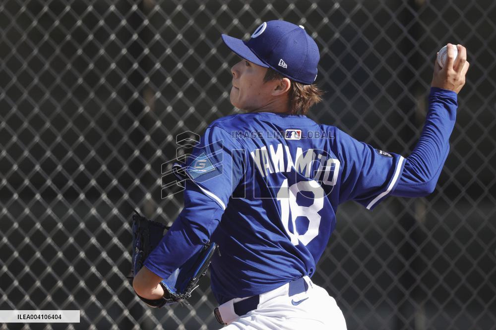 Baseball: MLB spring training