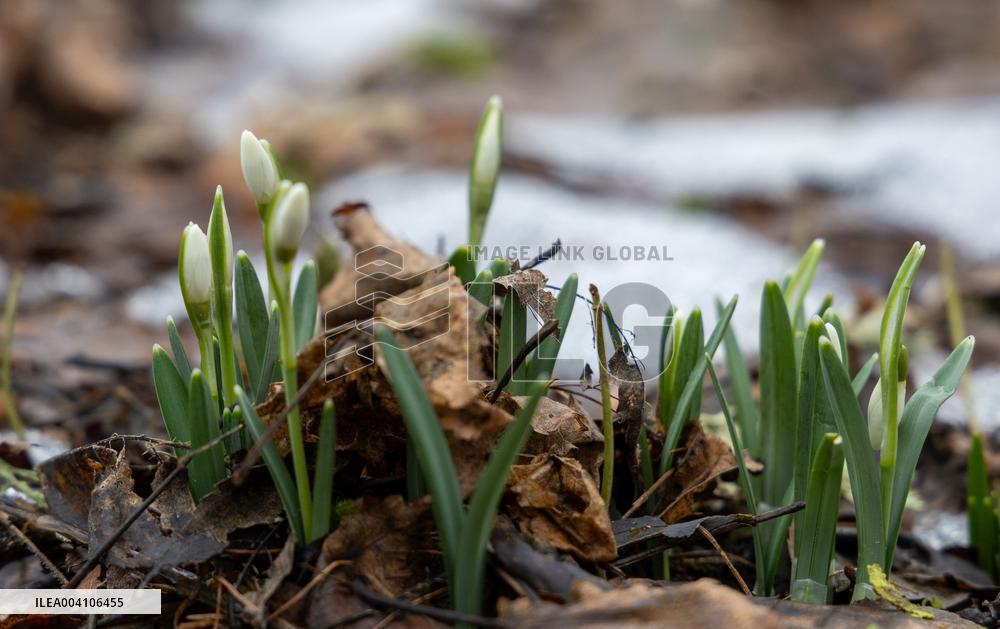 Spring is coming early