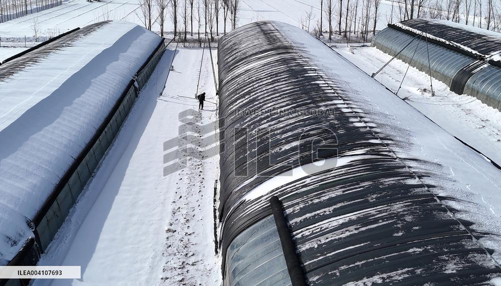 Heavy Snow Hit Binzhou