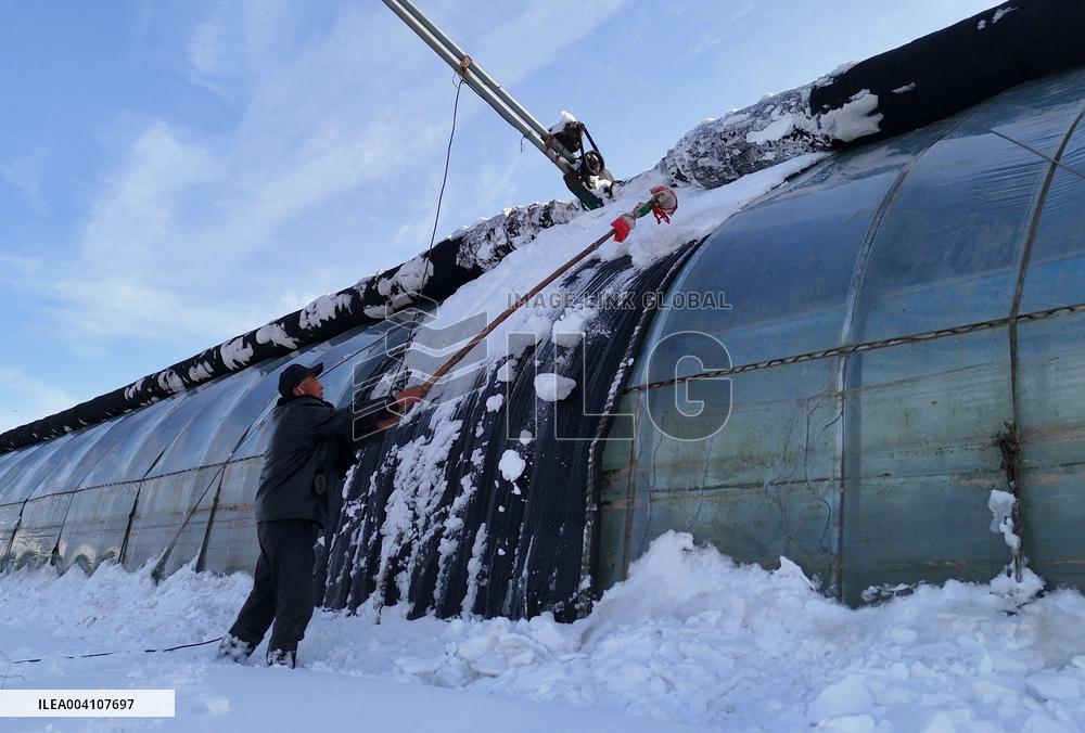 Heavy Snow Hit Binzhou