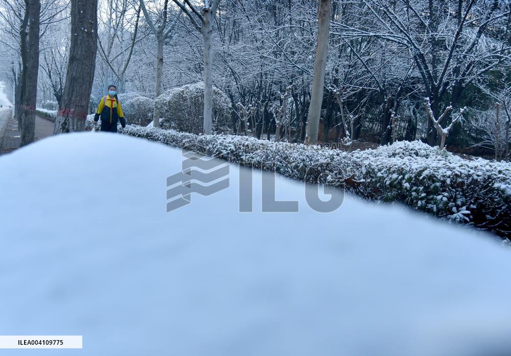 Heavy Snow Hit Zaozhuang