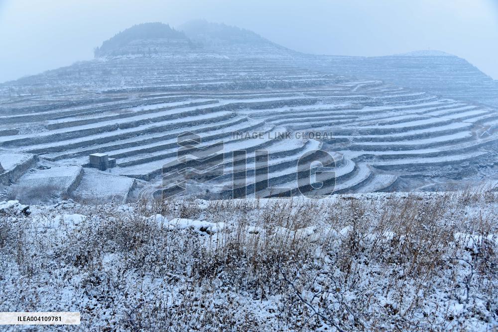 Heavy Snow Hit Zaozhuang