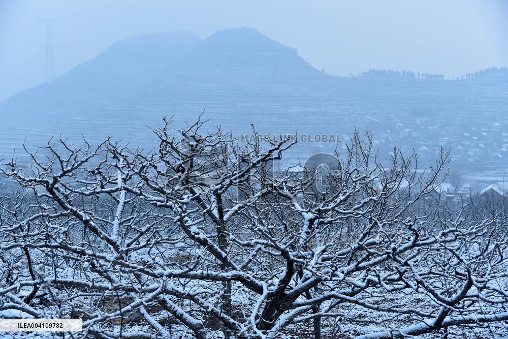 Heavy Snow Hit Zaozhuang
