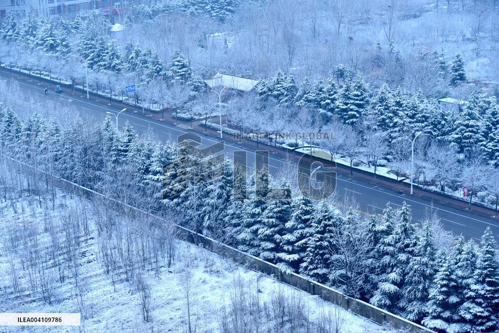 Heavy Snow Hit Zaozhuang