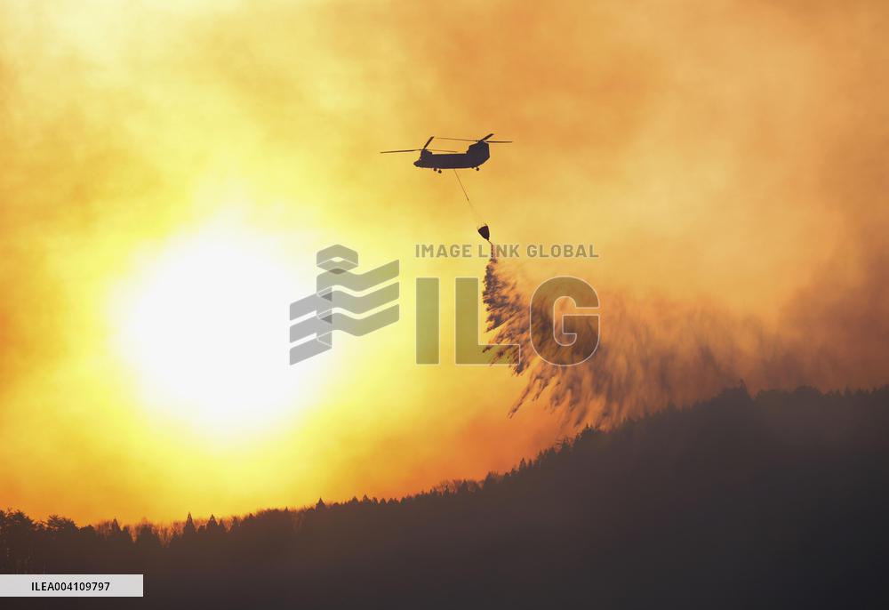 Forest fire in northeastern Japan