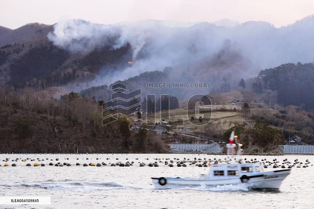 Forest fire in northeastern Japan