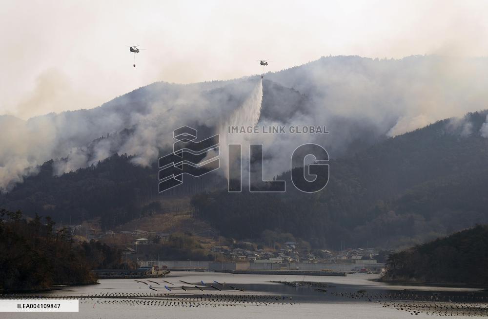 Forest fire in northeastern Japan