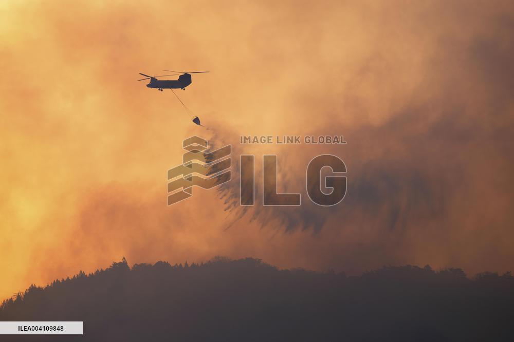 Forest fire in northeastern Japan