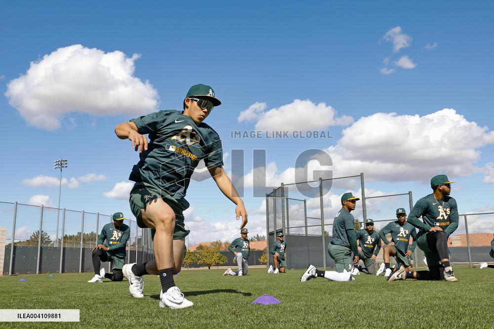 Baseball: Shotaro Morii